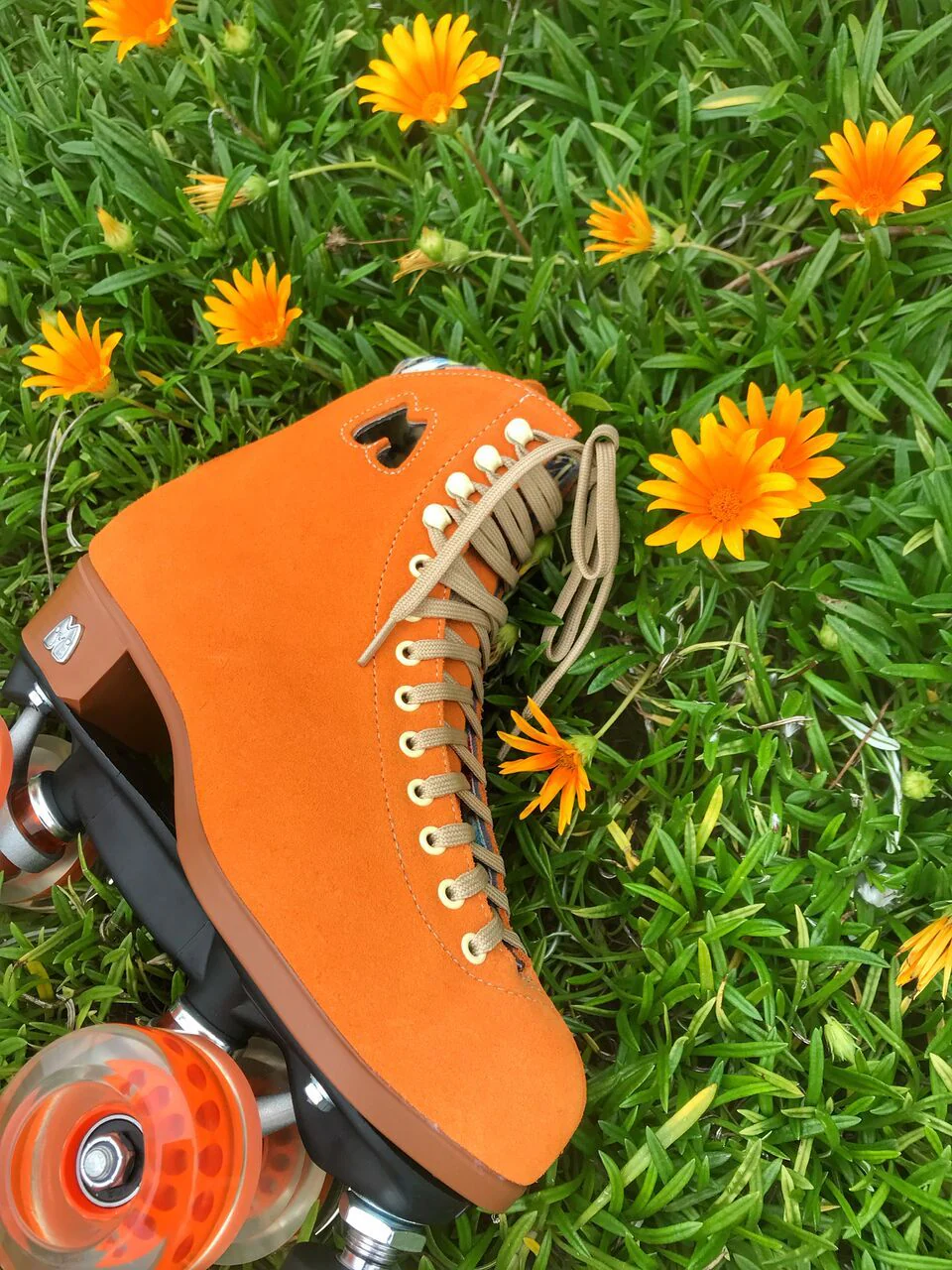 Moxi Lolly Skates - CLEMENTINE - Image 4