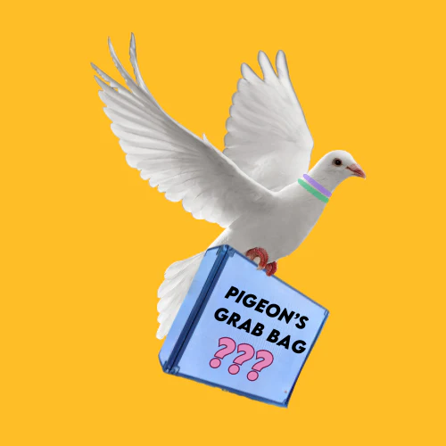 Pigeon's Grab Bag - FOR A NON SKATER - Image 2
