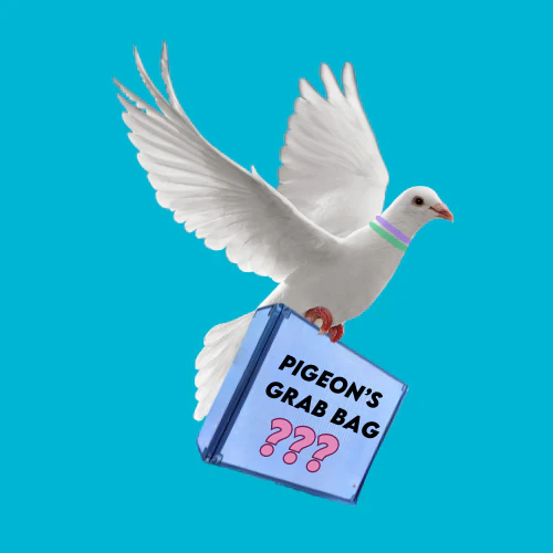 Pigeon's Grab Bag - FOR A SKATER - Image 2